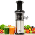 Shine Compact Cold Press Juicer